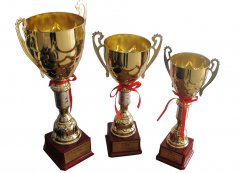 ��(ji��ng)��